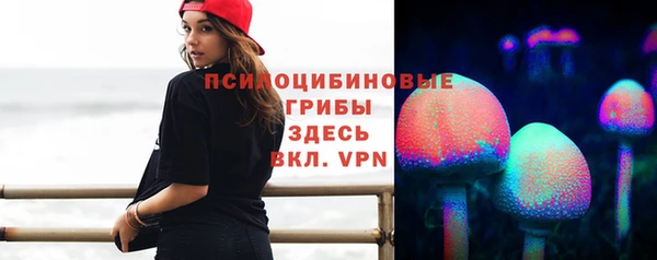 ешки Алексеевка