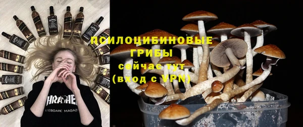крисы Алексин