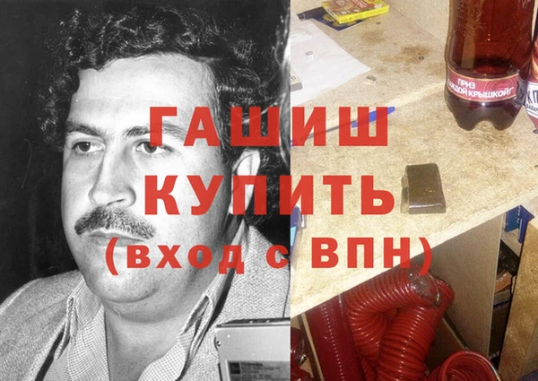 гидра Осинники