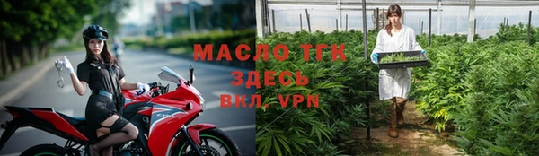 гидра Осинники