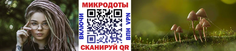 мега маркетплейс  Малаховка  Галлюциногенные грибы Psilocybe 